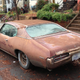 Image for article titled A Bit Of Wax And An Oil Change, And This GTO Will Be Good To Go